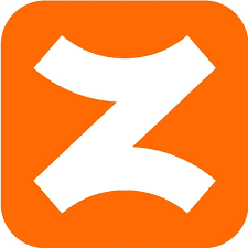 Zingage Logo